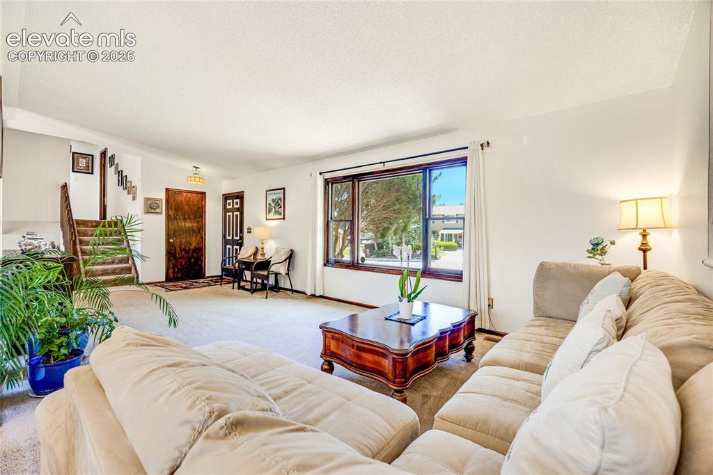Image 7 of 46: Carpeted living room featuring a picture window with dark wood trim, a dark