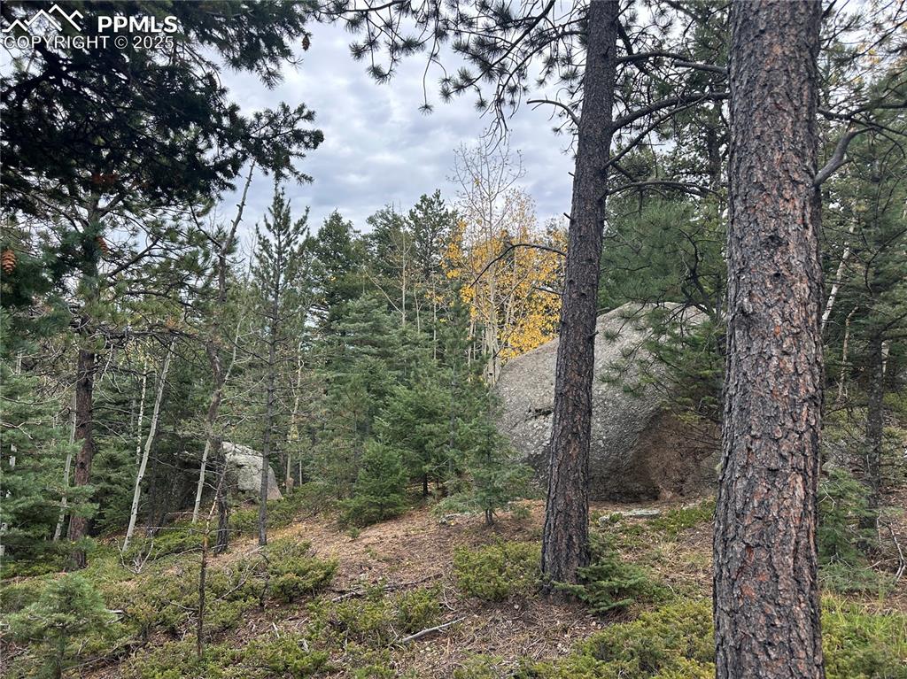 Image 13 of 21: Rock outcroppings