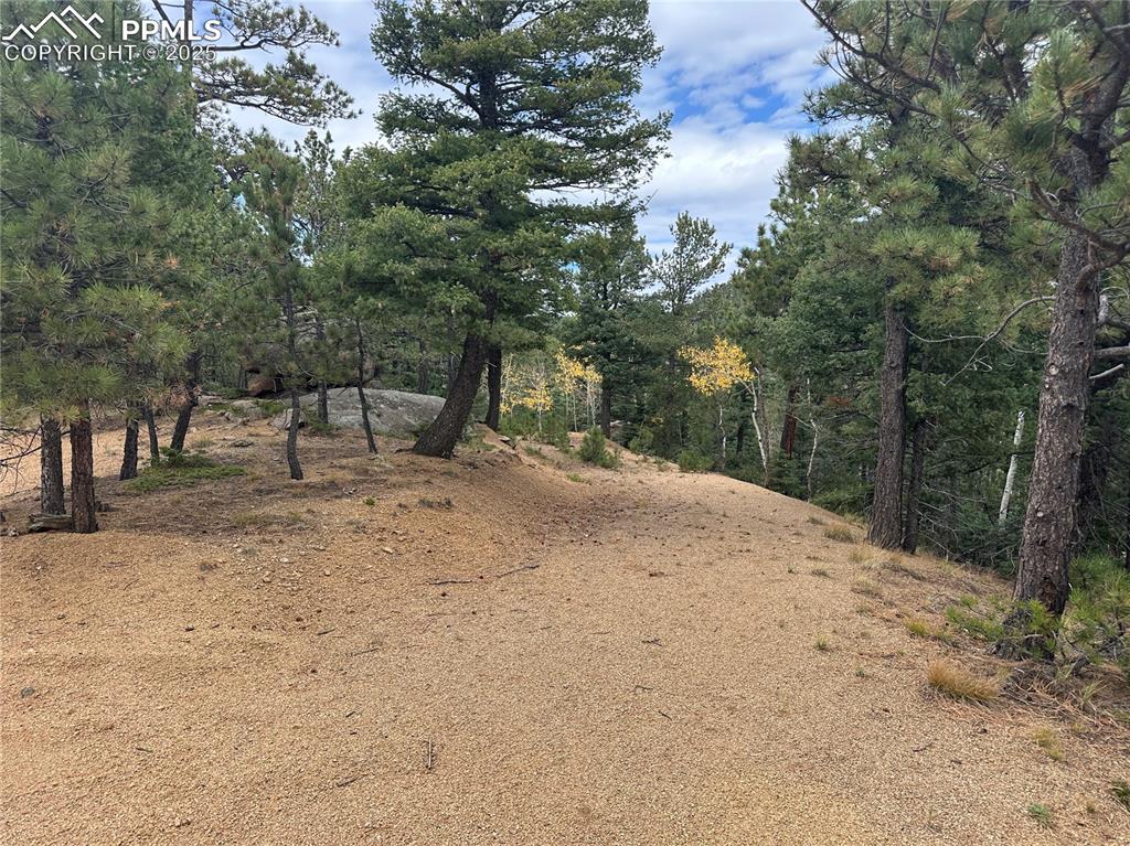 Image 2 of 21: Start of the driveway