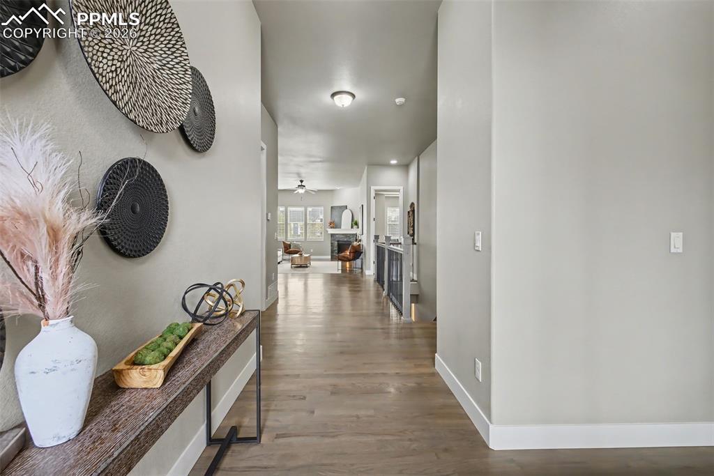 Image 3 of 46: Other