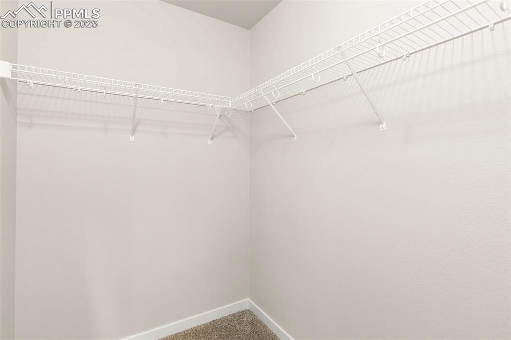 Image 19 of 27: Walk in closet with carpet floors