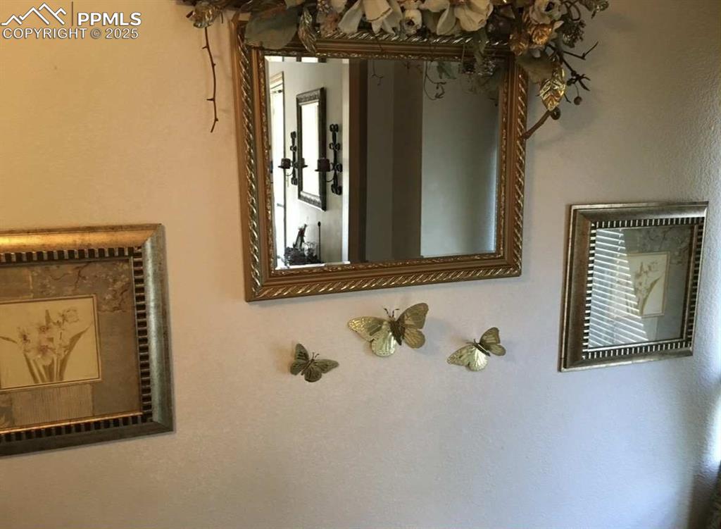 Image 8 of 20: Detailed view