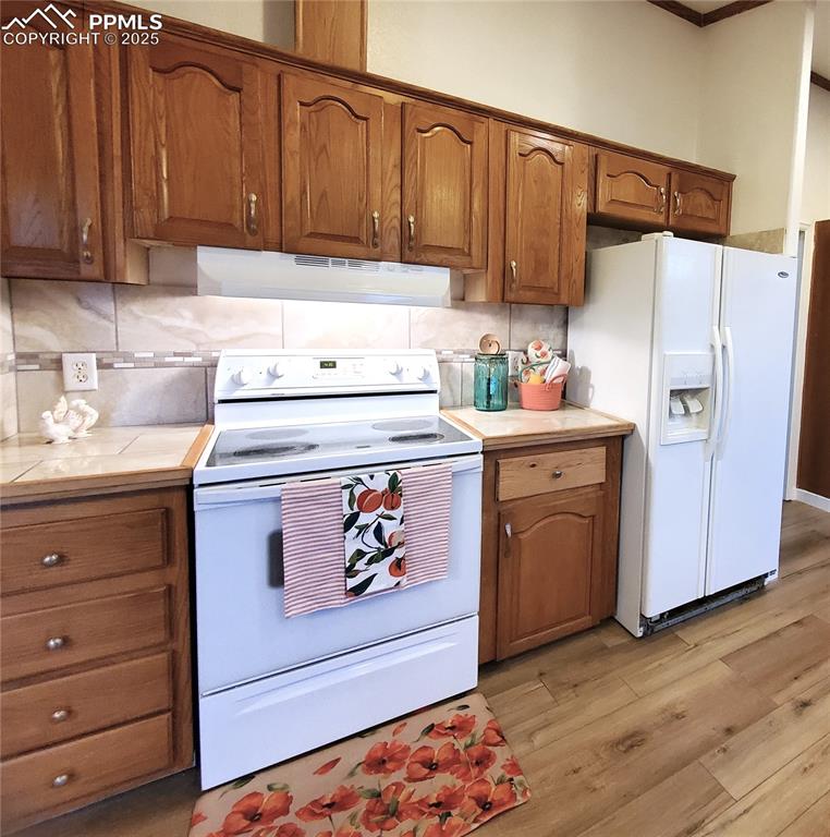 Image 26 of 50: Kitchen range and refrigerator are included