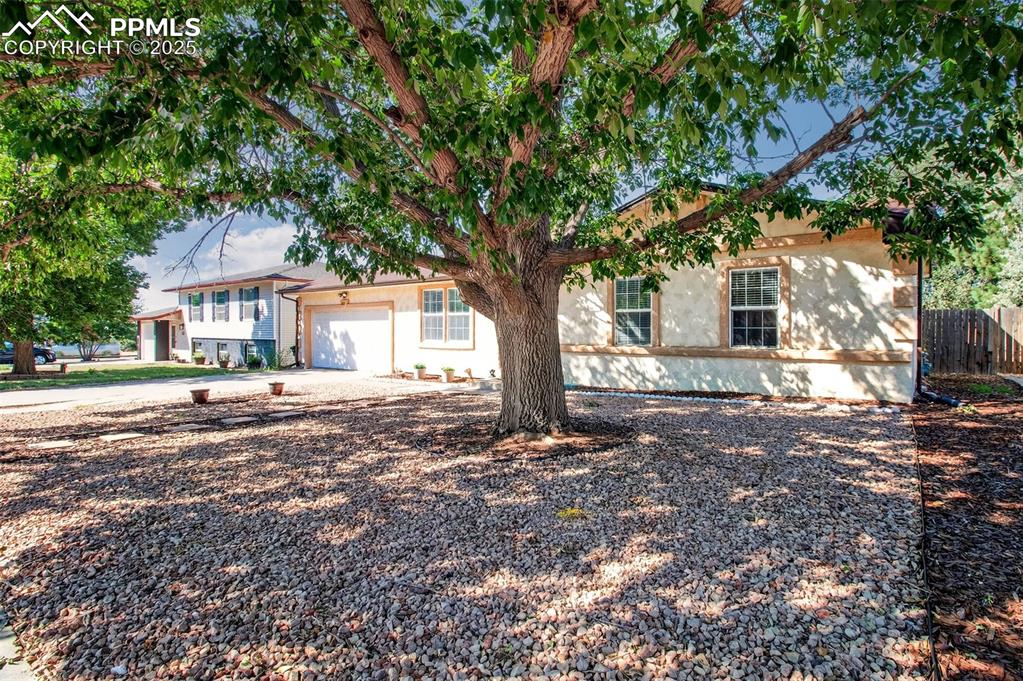 Image 2 of 29: Nice xeroscaped front yard.