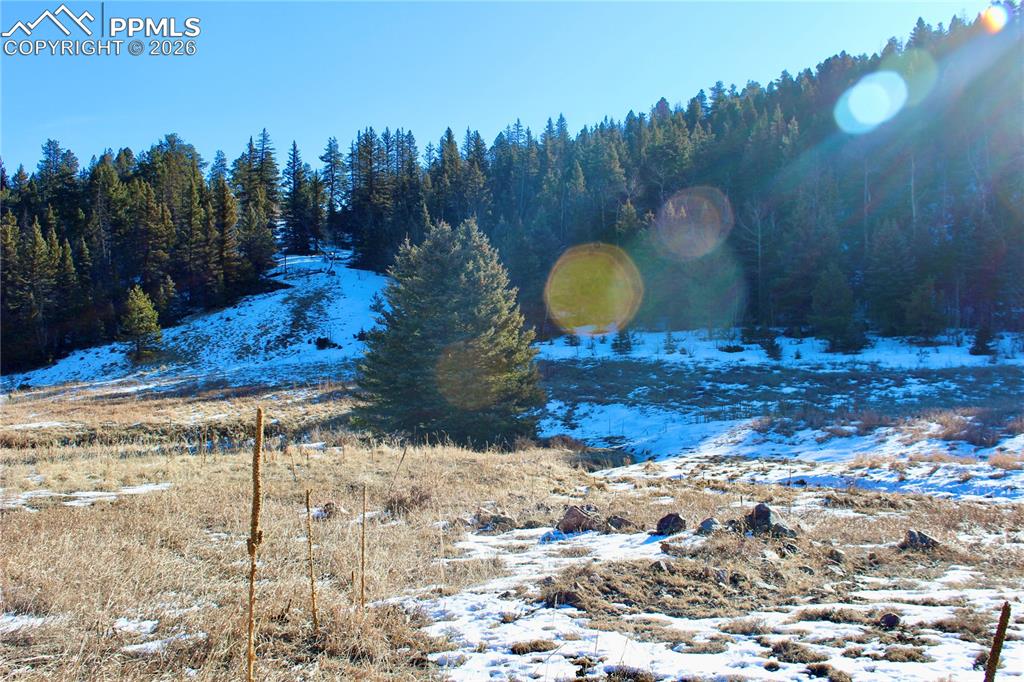 Image 10 of 24: View