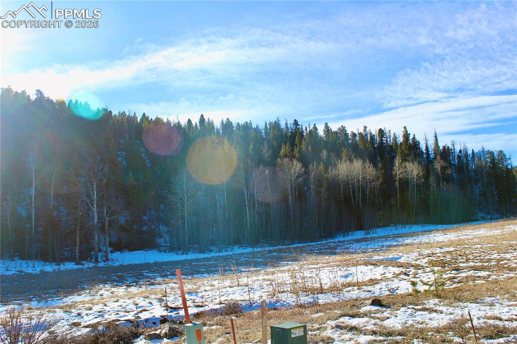 Image 11 of 24: View