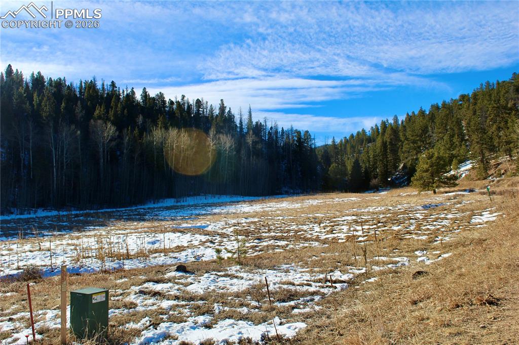 Image 12 of 24: Other