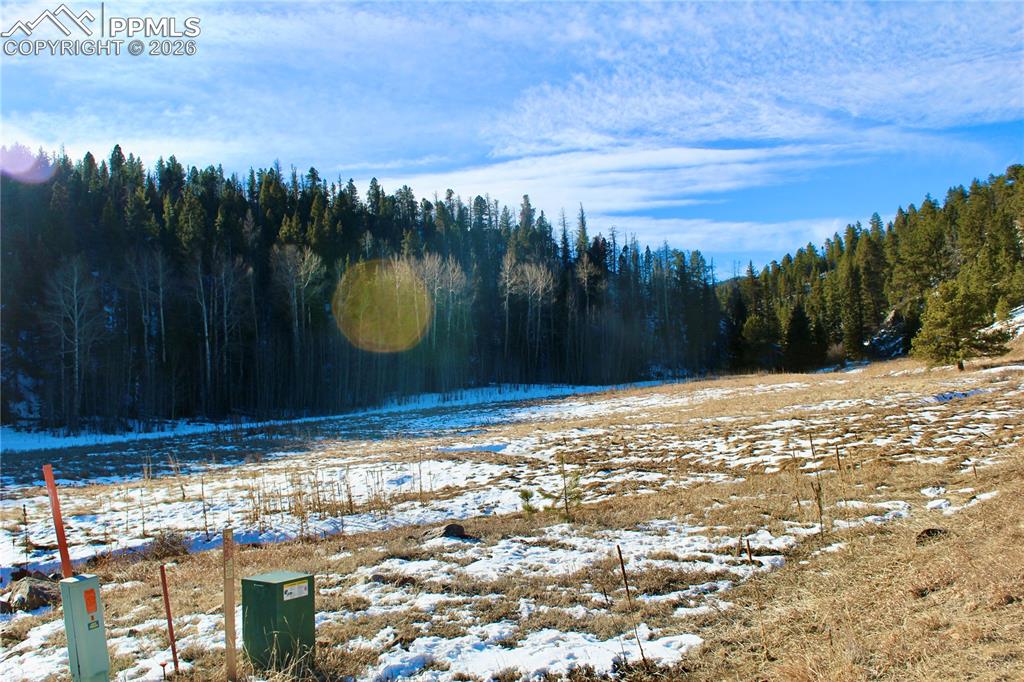 Image 13 of 24: Yard