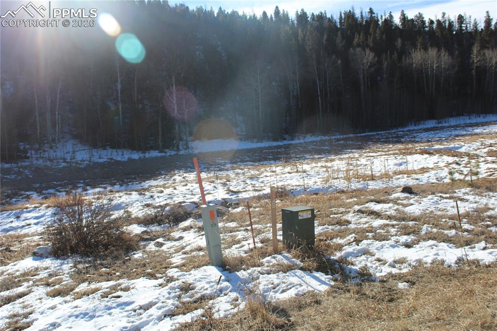 Image 14 of 24: Yard