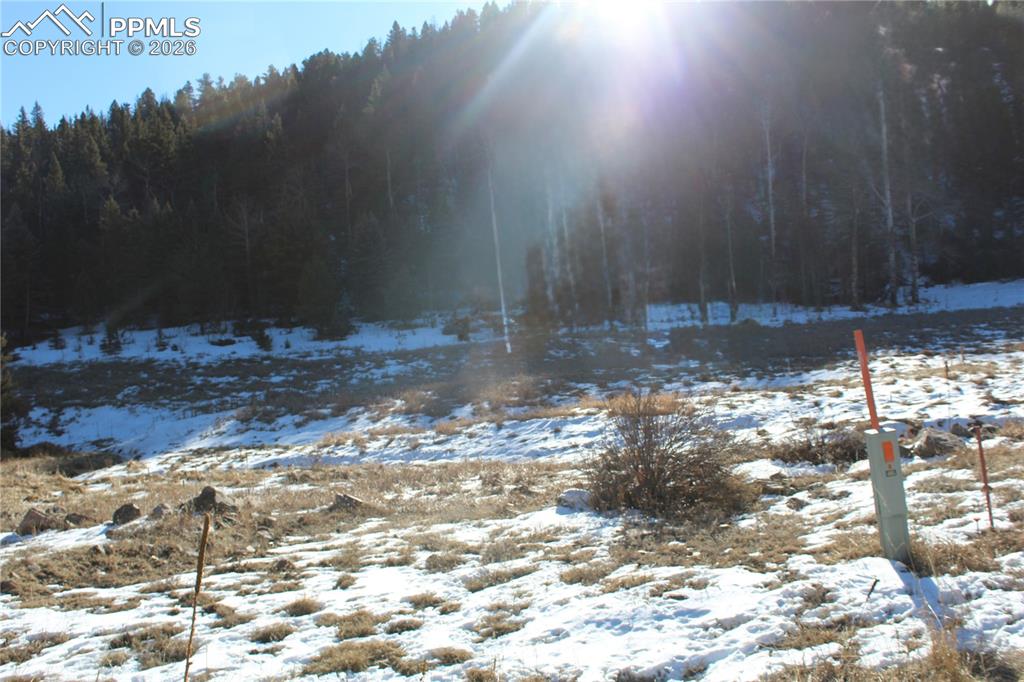 Image 15 of 24: Yard