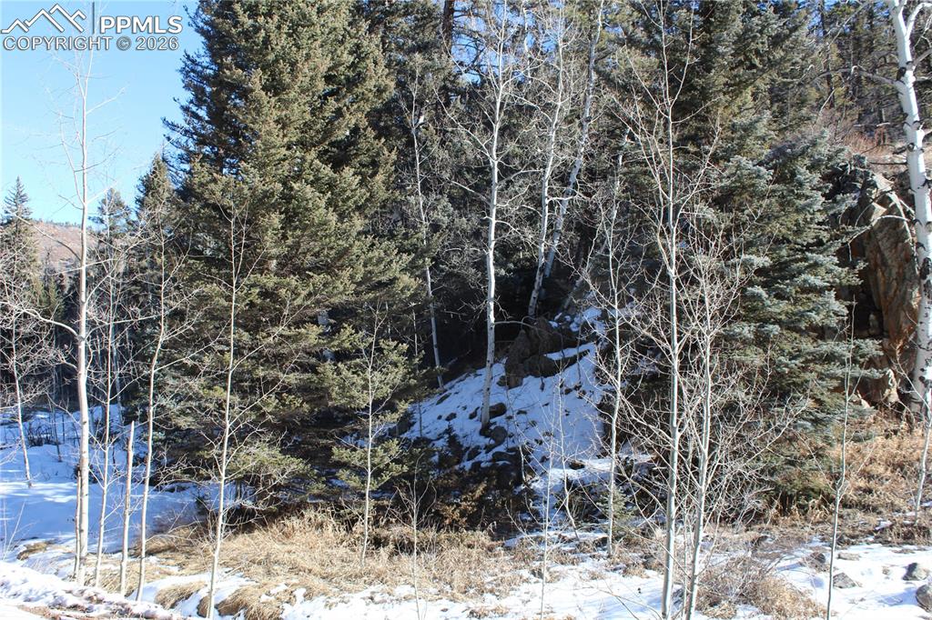 Image 18 of 24: Other