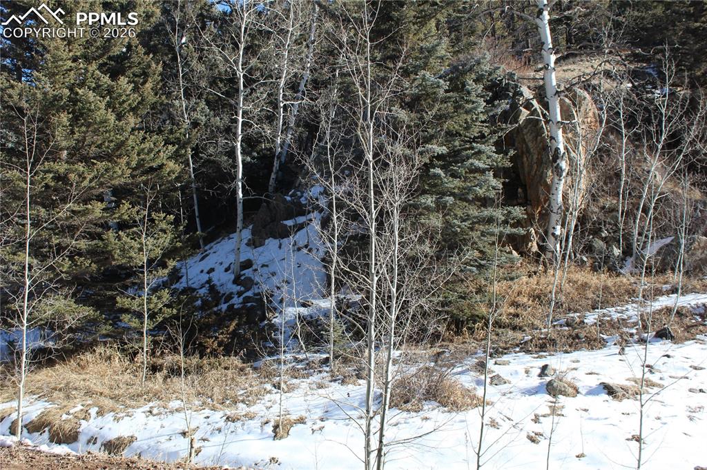 Image 19 of 24: Other