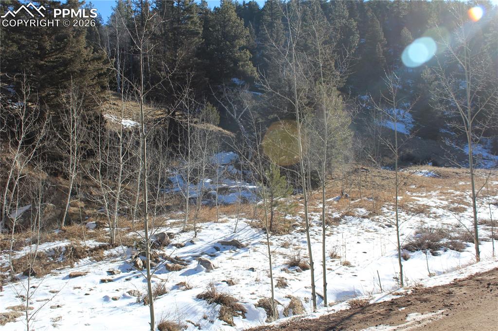 Image 20 of 24: Other