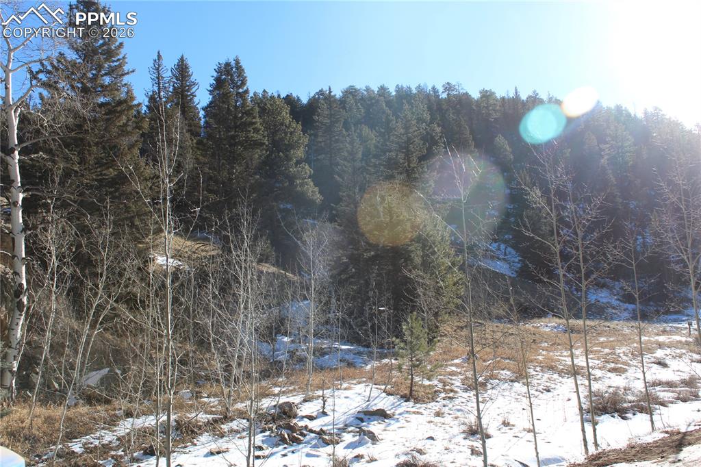 Image 21 of 24: Other