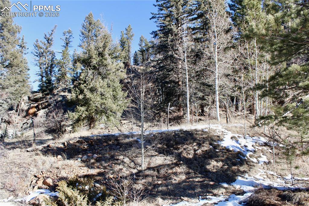 Image 23 of 24: Other