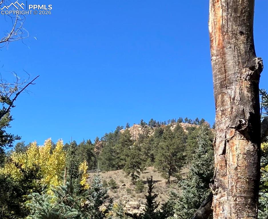 Image 5 of 24: Other