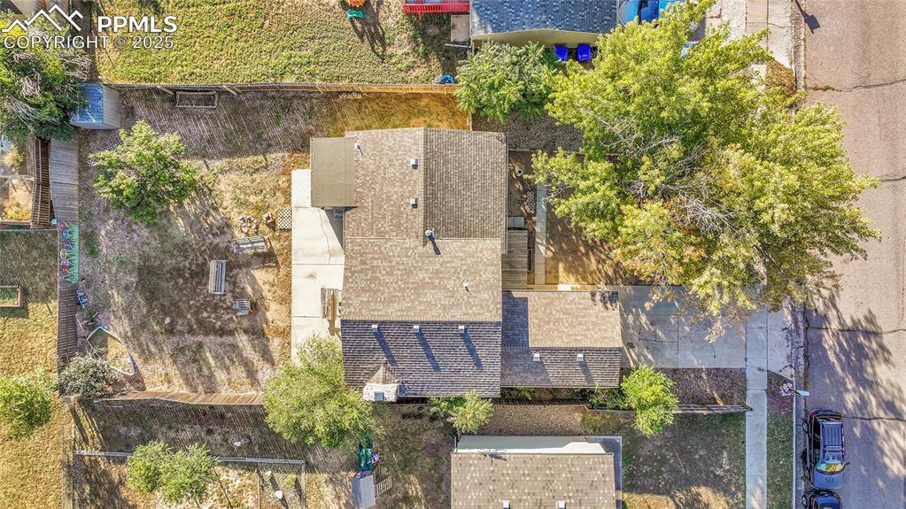 Image 30 of 36: Bird