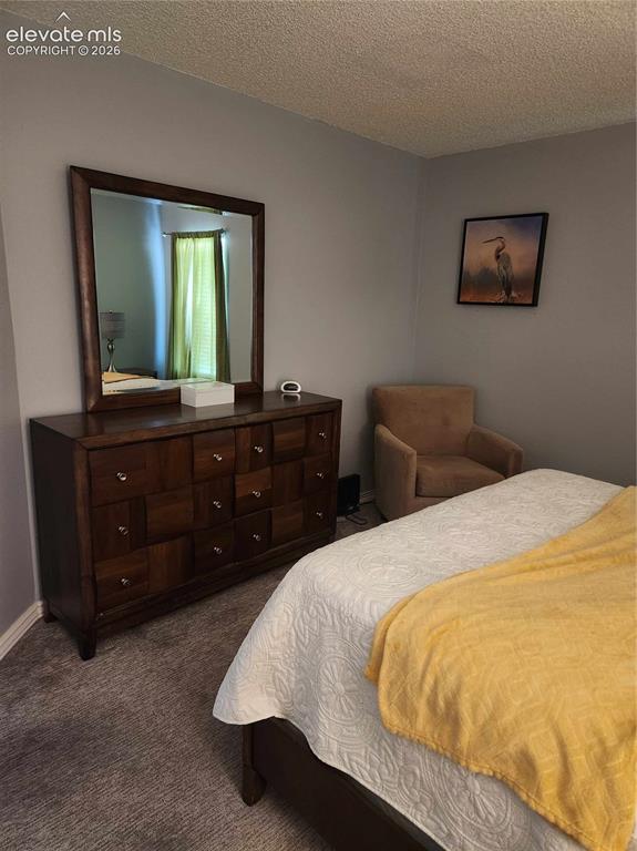 Image 3 of 13: Carpeted room featuring light gray walls and a textured ceiling