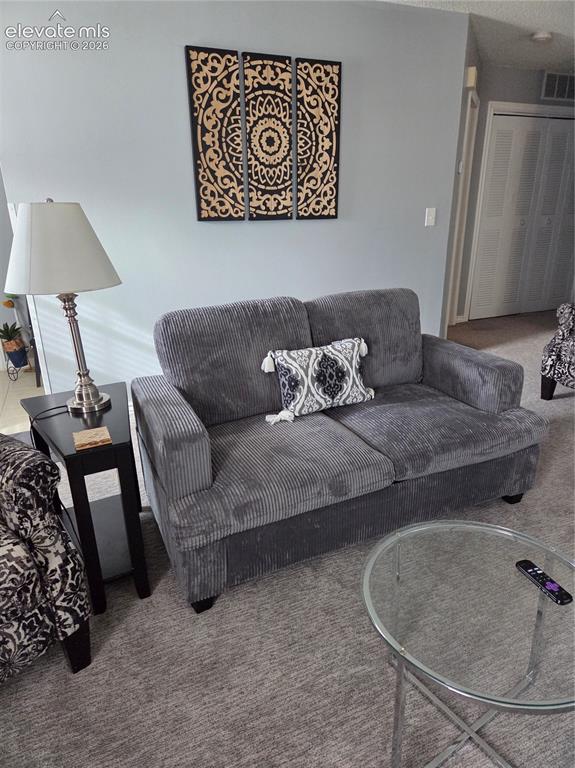 Image 7 of 13: spacious living room