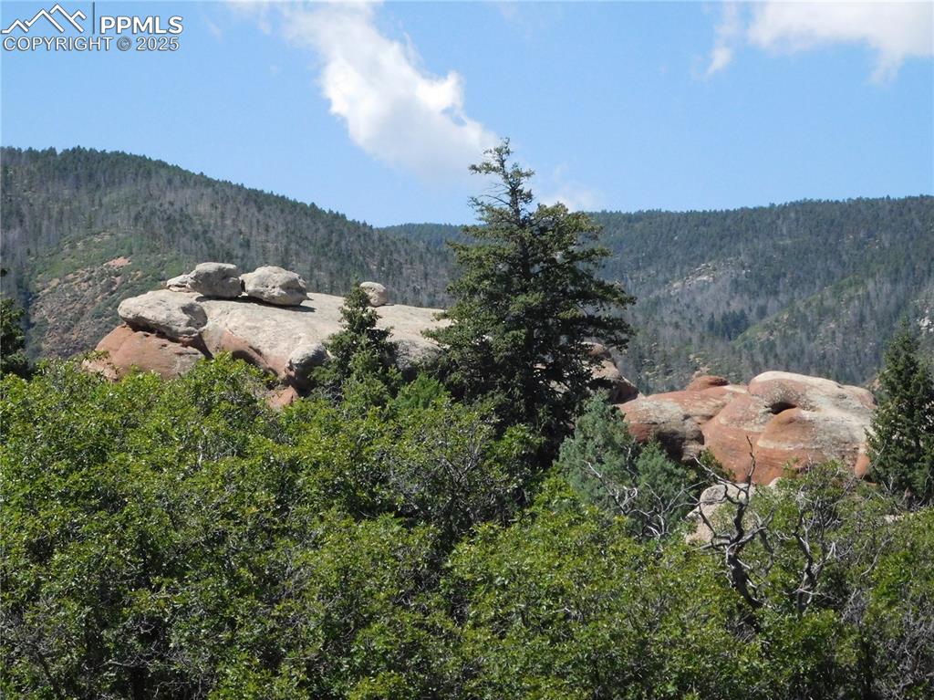 Image 10 of 43: View