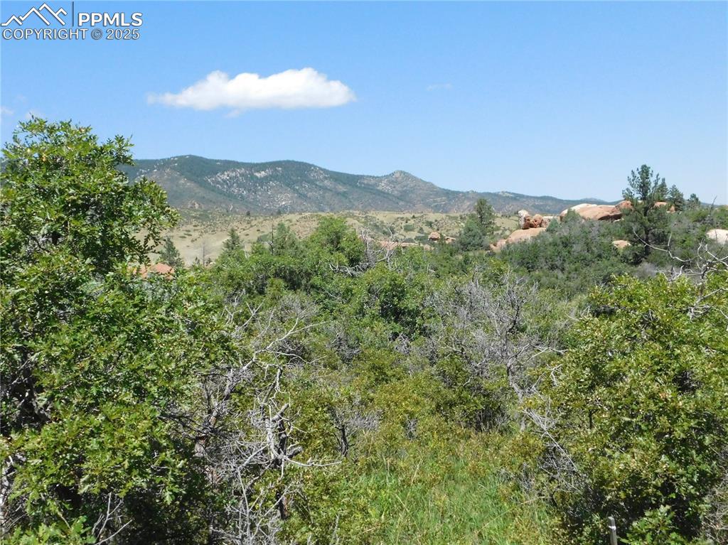 Image 19 of 43: View