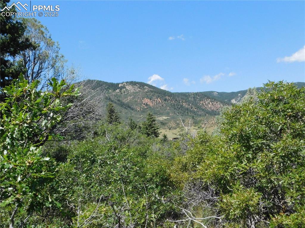 Image 20 of 43: View