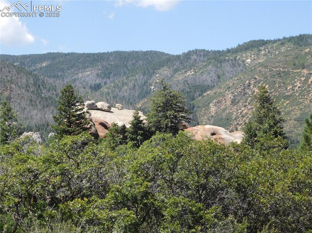 Image 3 of 43: View