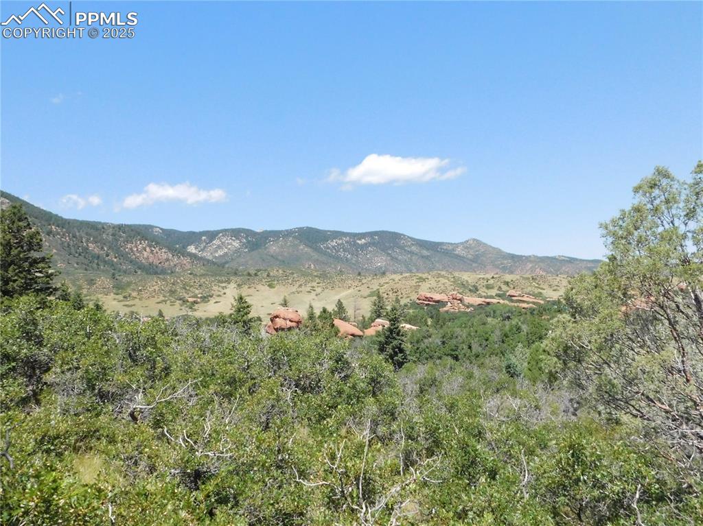 Image 4 of 43: View
