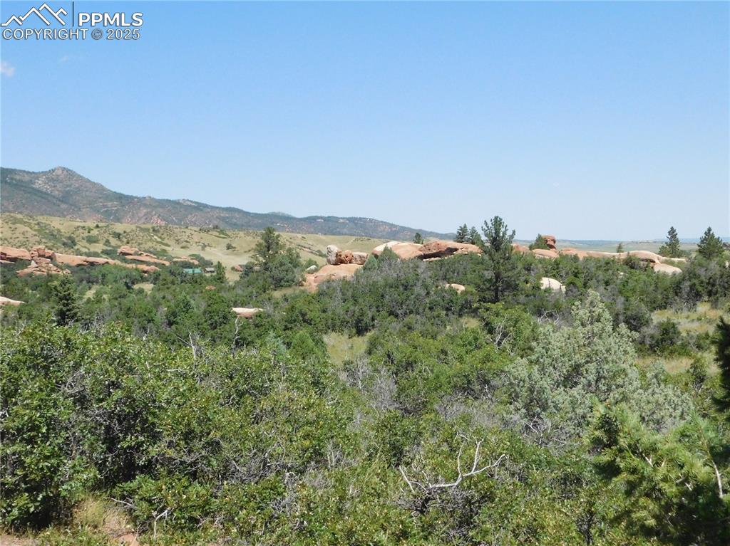 Image 40 of 43: View