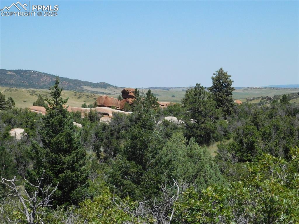 Image 42 of 43: View