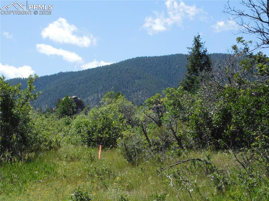 Image 8 of 43: View