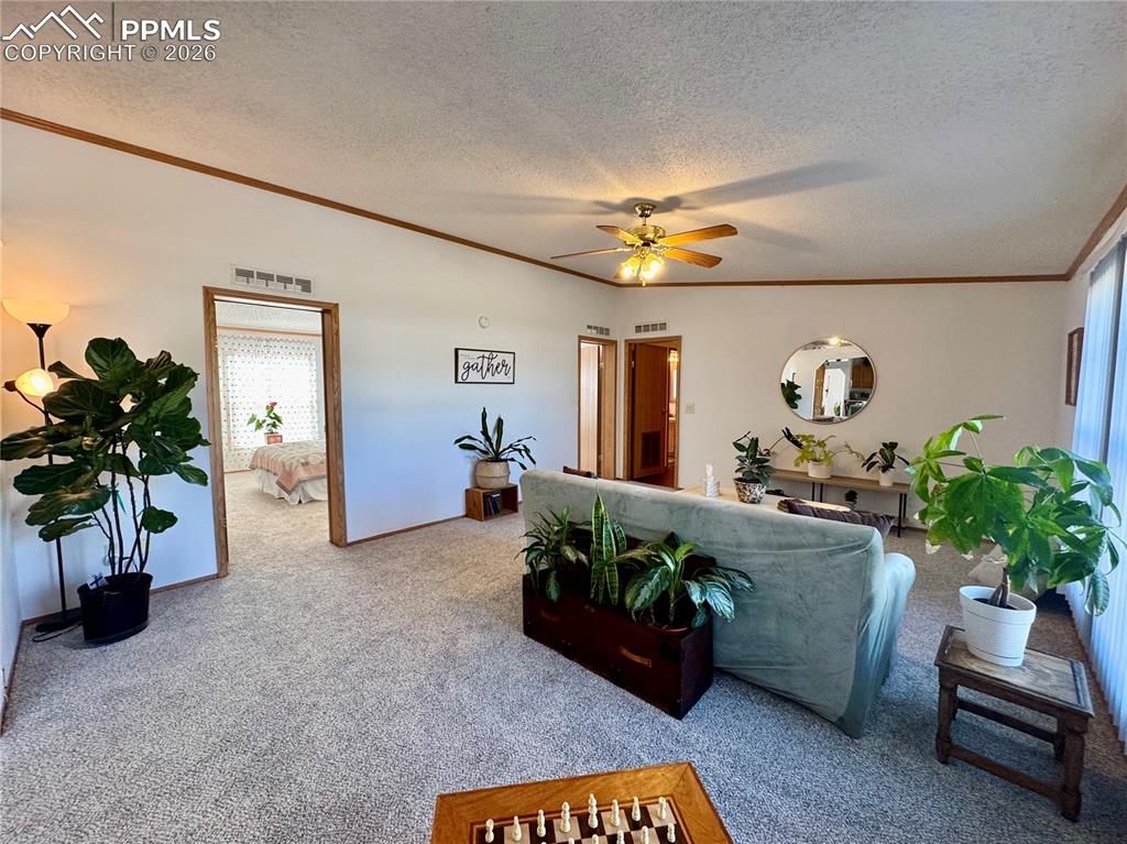 Image 17 of 44: Carpeted living room with ornamental molding, a ceiling fan, and a textured
