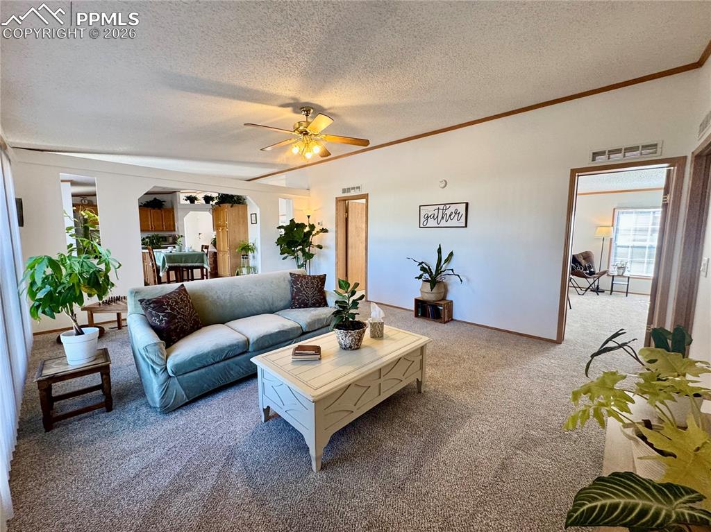 Image 19 of 44: Living area with carpet, arched walkways, a textured ceiling, plenty of nat
