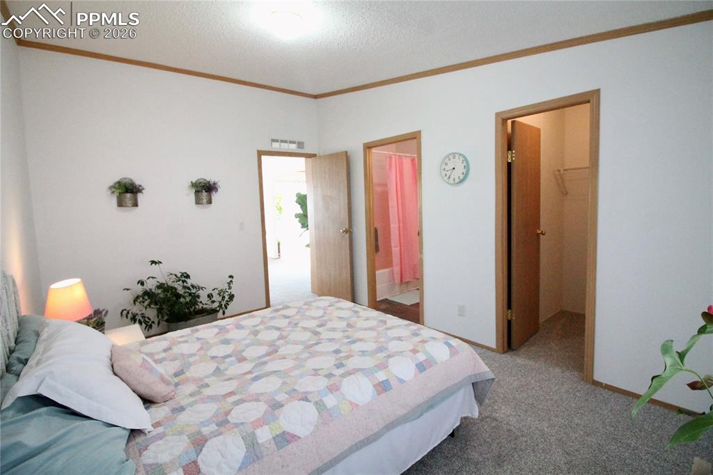 Image 21 of 44: Bedroom with light carpet, a spacious closet, ornamental molding, and a tex