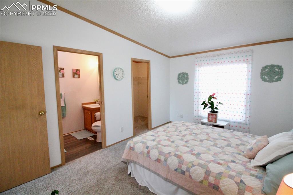 Image 22 of 44: Bedroom with a spacious closet, crown molding, light colored carpet, and co