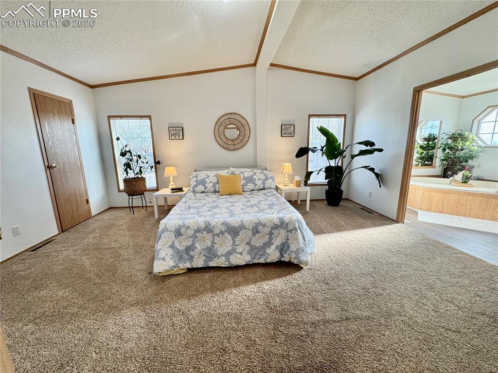 Image 25 of 44: Bedroom with ornamental molding and light carpet