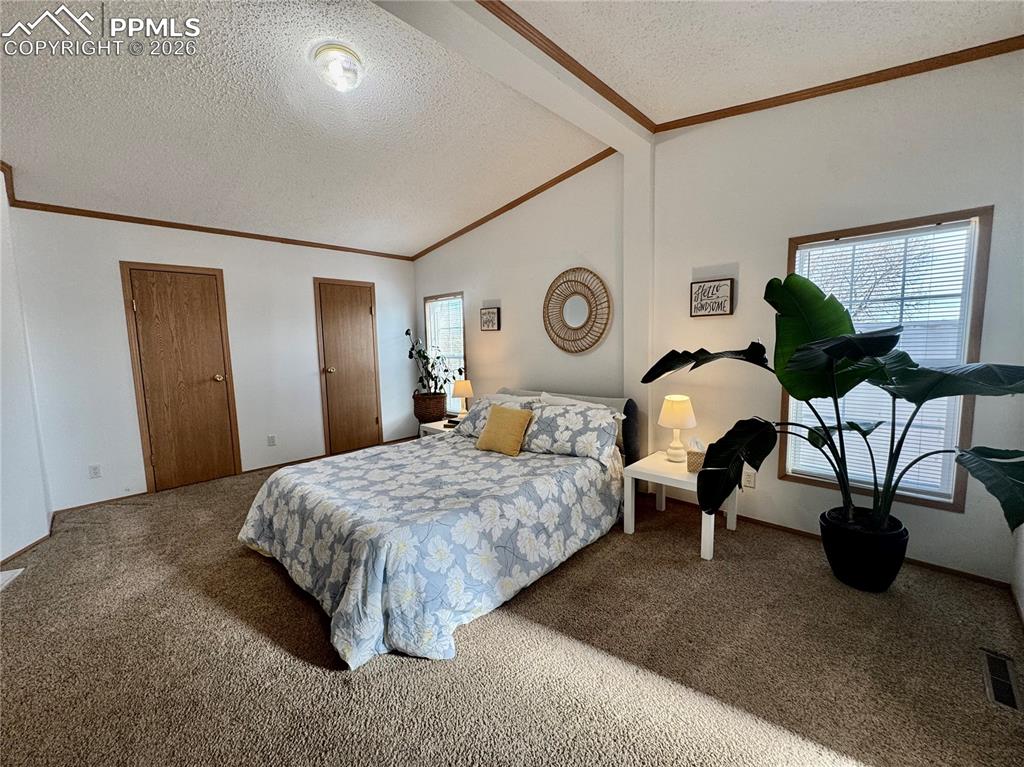 Image 27 of 44: Bedroom with ornamental molding, carpet, and multiple windows