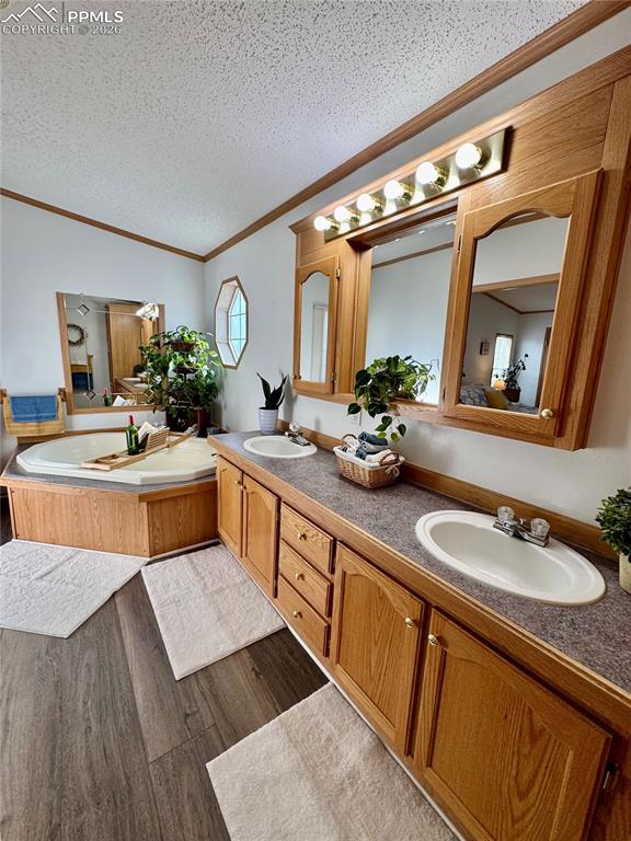 Image 30 of 44: Bathroom with double vanity, dark wood finished floors, a textured ceiling,