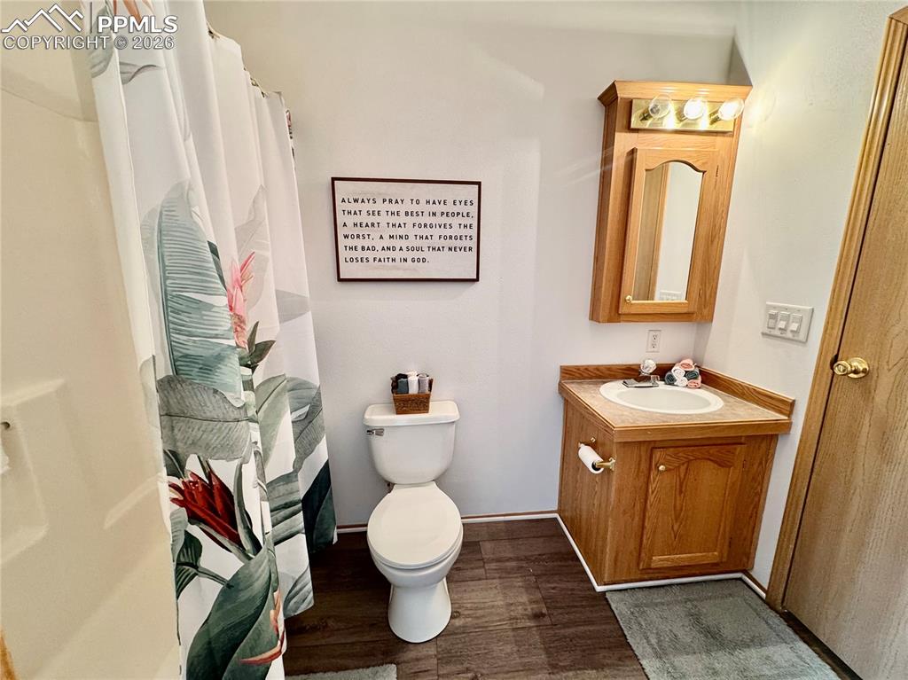 Image 39 of 44: Full bath featuring vanity, a shower with curtain, and dark wood-style floo