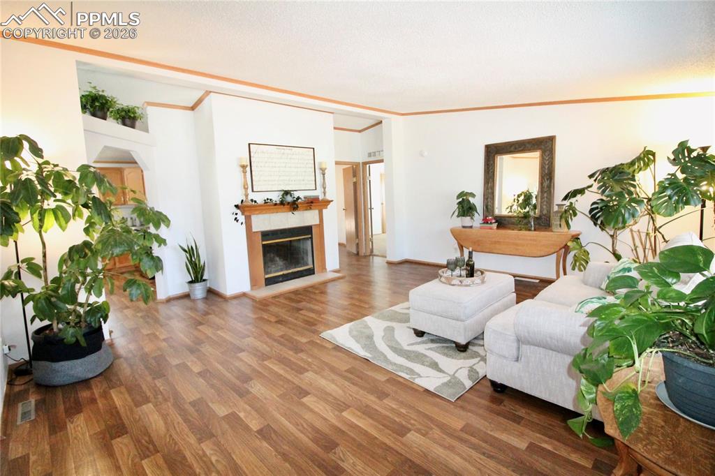 Image 4 of 44: Bright, open living room