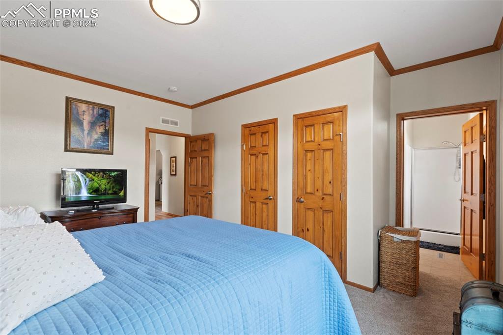 Image 31 of 41: Bedroom with crown molding, multiple closets, and light carpet