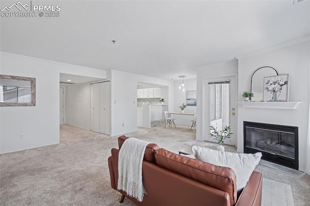 Image 4 of 27: No Description Available