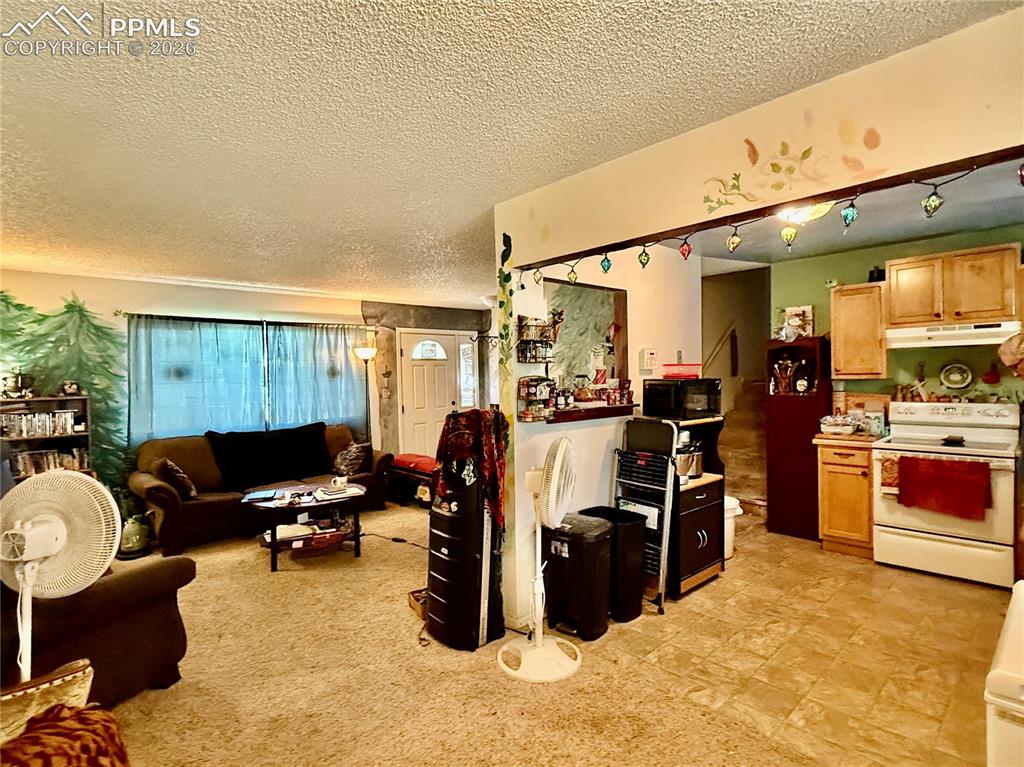 Image 9 of 20: Living Room