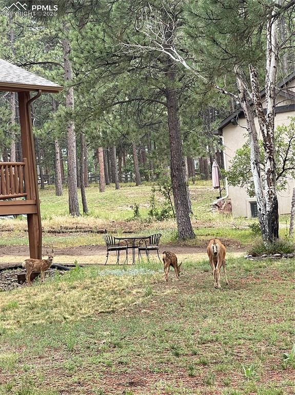 Image 49 of 50: Yard