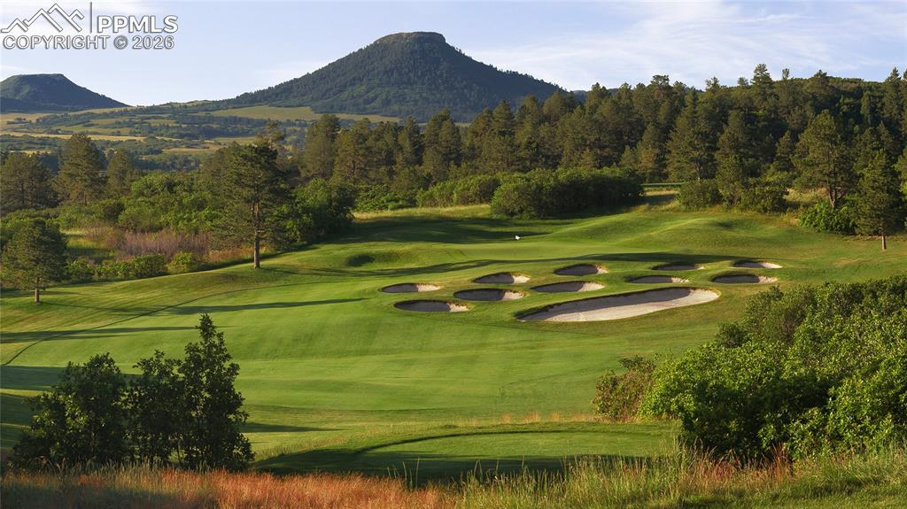 Image 50 of 50: Golf Course