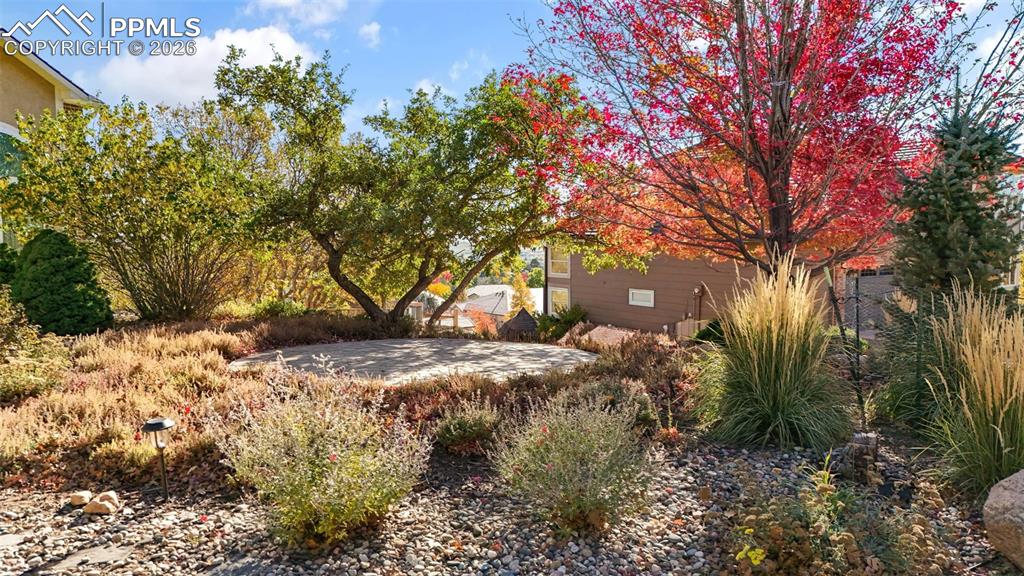 Image 49 of 49: View of yard