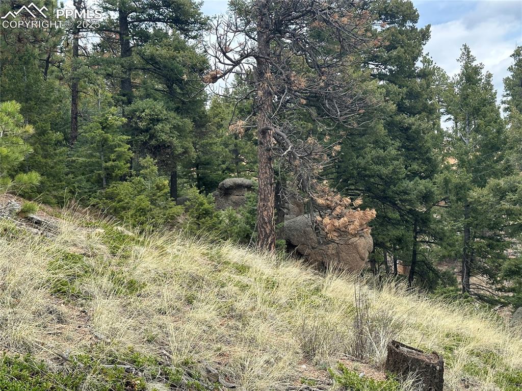 Image 3 of 20: Looking North from a potential build site!