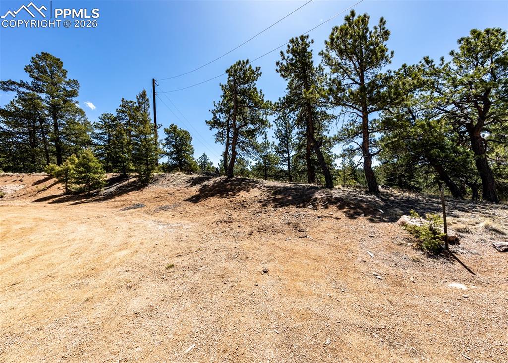 Image 10 of 21: View of local wilderness