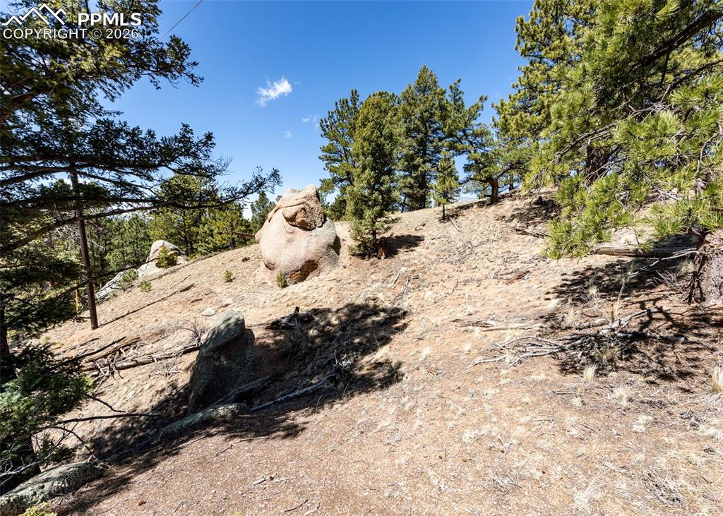 Image 16 of 21: View of local wilderness