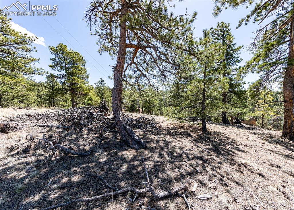 Image 20 of 21: View of undeveloped land